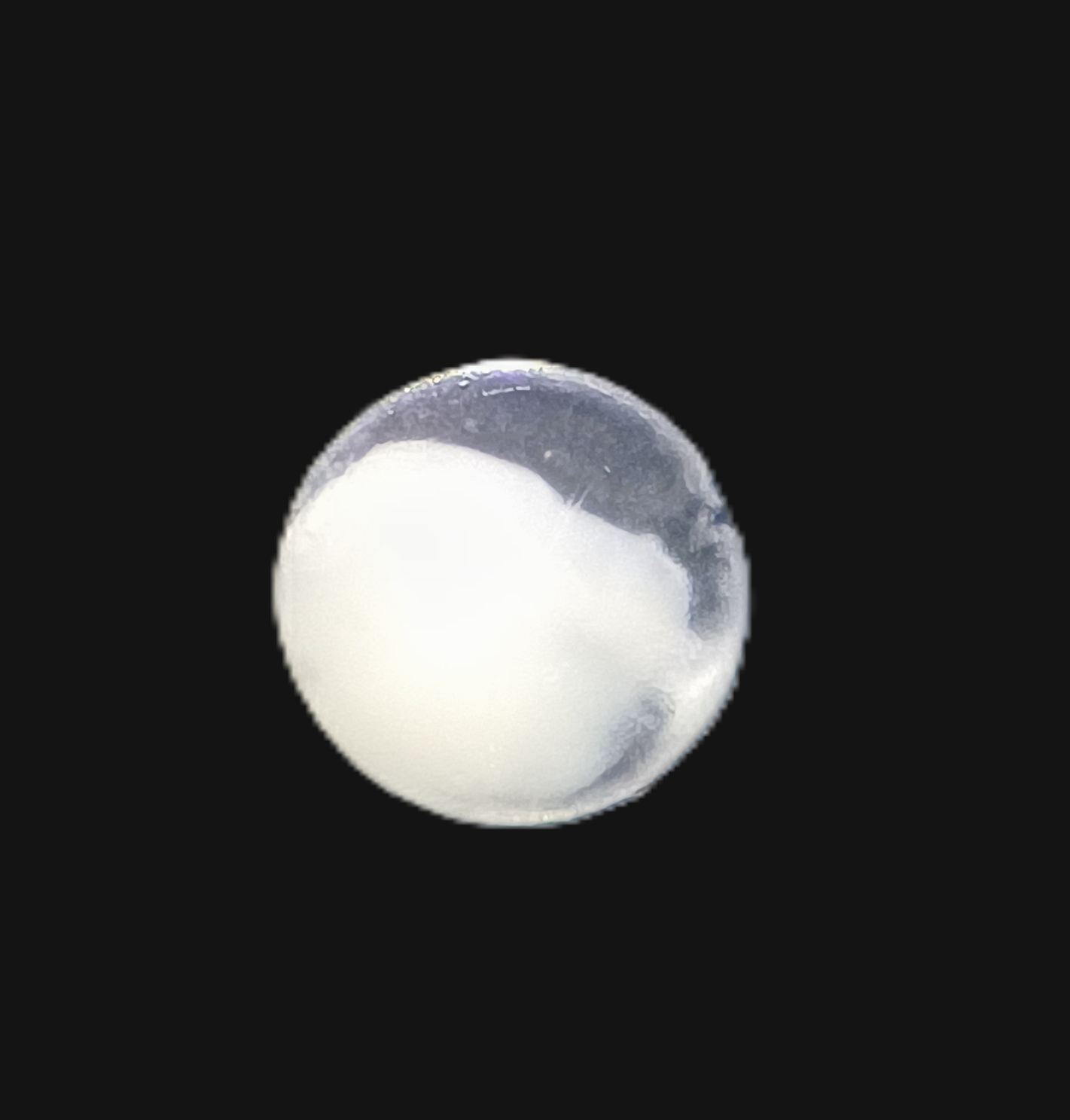 Specimen image