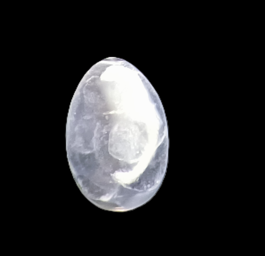 Specimen image