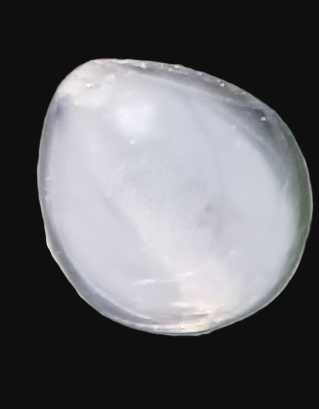 Specimen image