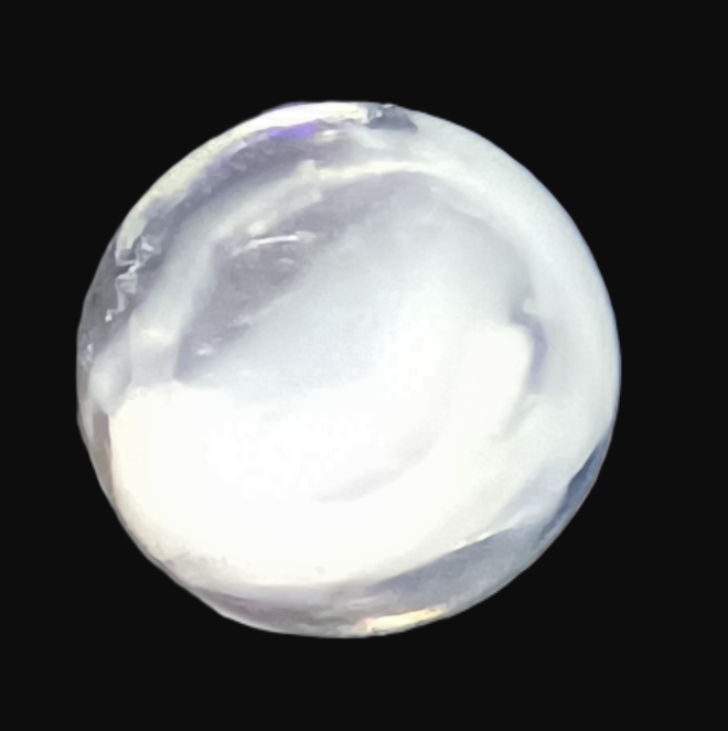 Specimen image