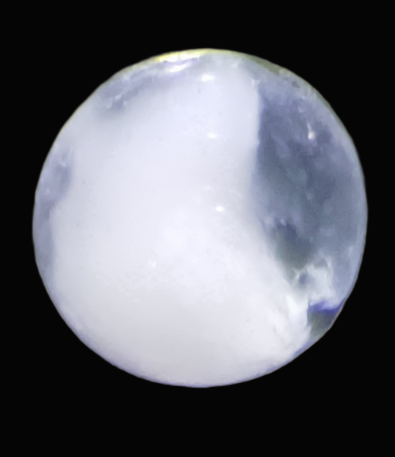 Specimen image