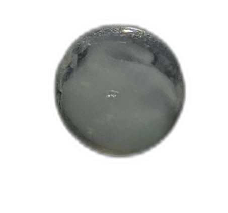 Specimen image