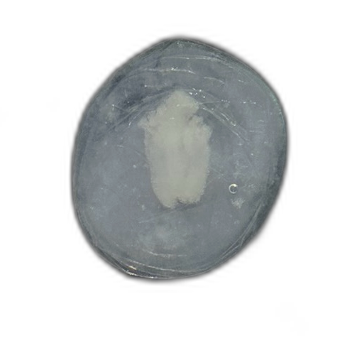 Specimen image