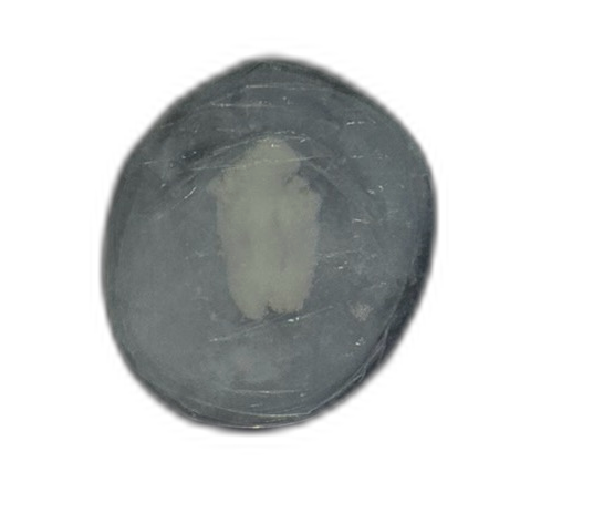 Specimen image