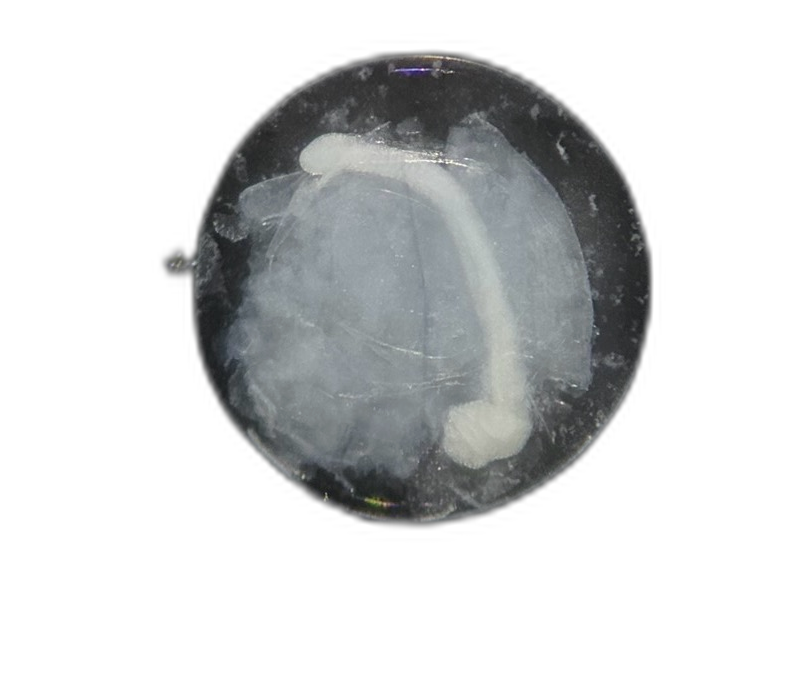 Specimen image