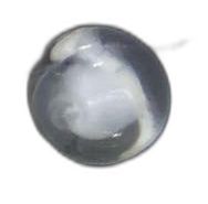 Specimen image