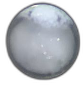 Specimen image