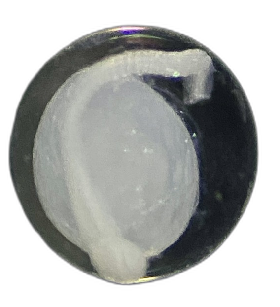 Specimen image