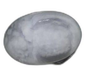 Specimen image