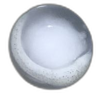 Specimen image