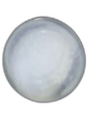 Specimen image