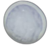 Specimen image