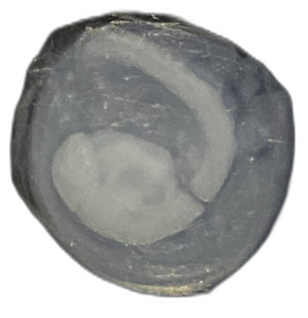 Specimen image