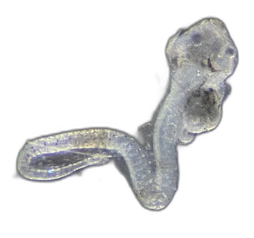 Specimen image