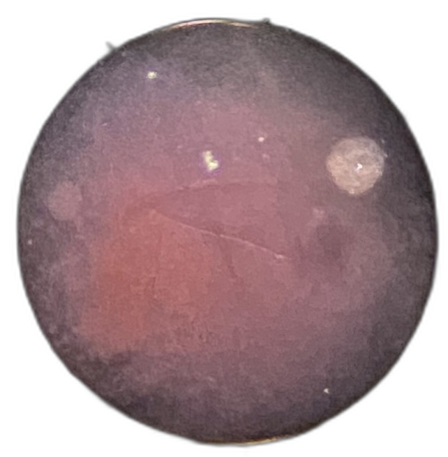 Specimen image