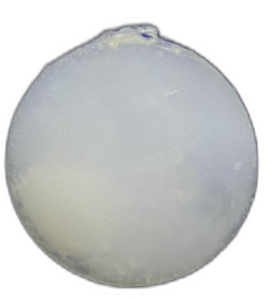 Specimen image