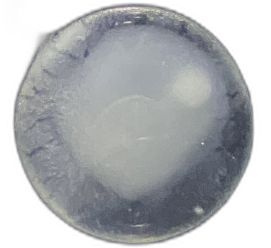 Specimen image