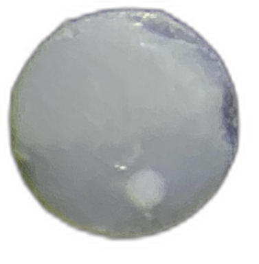 Specimen image