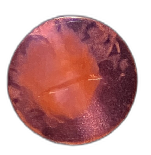 Specimen image