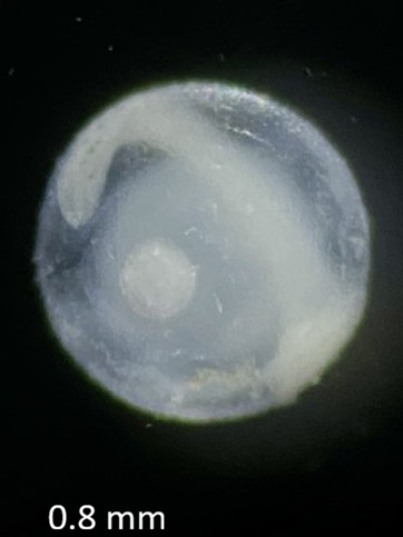 Specimen image