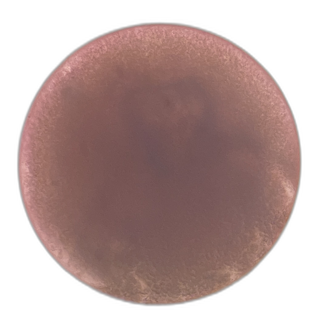 Specimen image