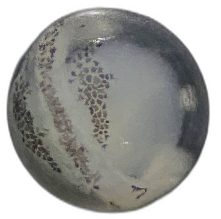 Specimen image