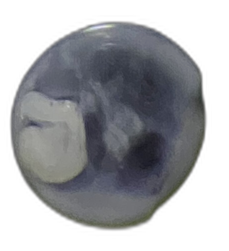 Specimen image