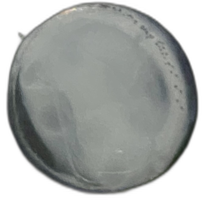 Specimen image