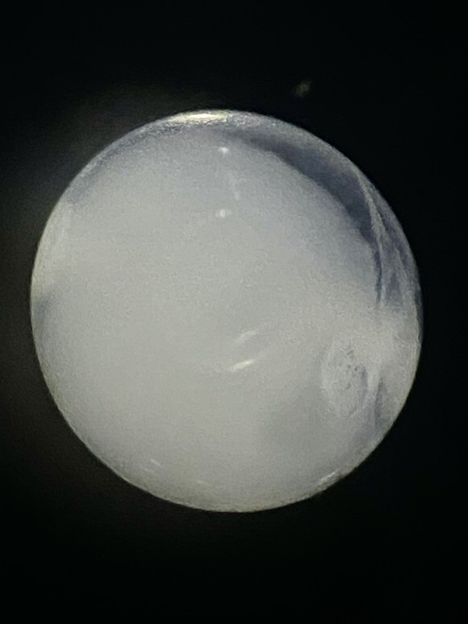 Specimen image