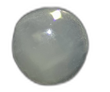 Specimen image