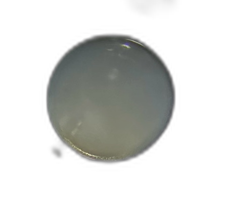 Specimen image