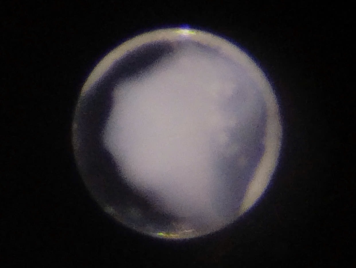 Specimen image