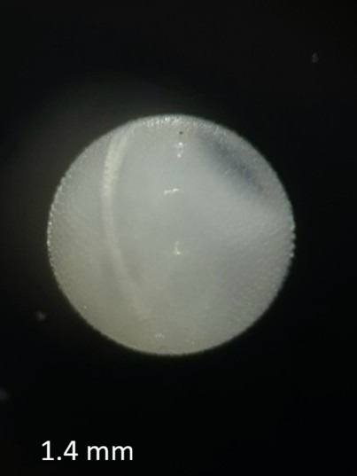 Specimen image