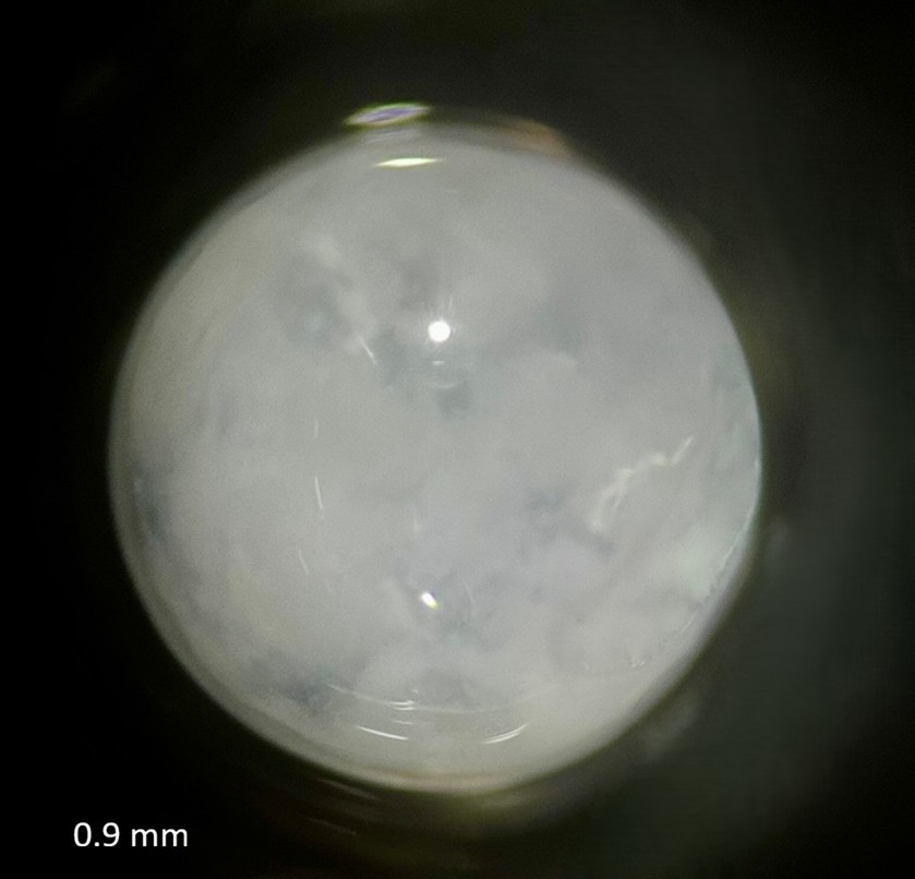 Specimen image