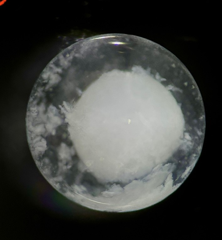 Specimen image