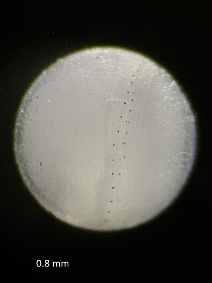 Specimen image