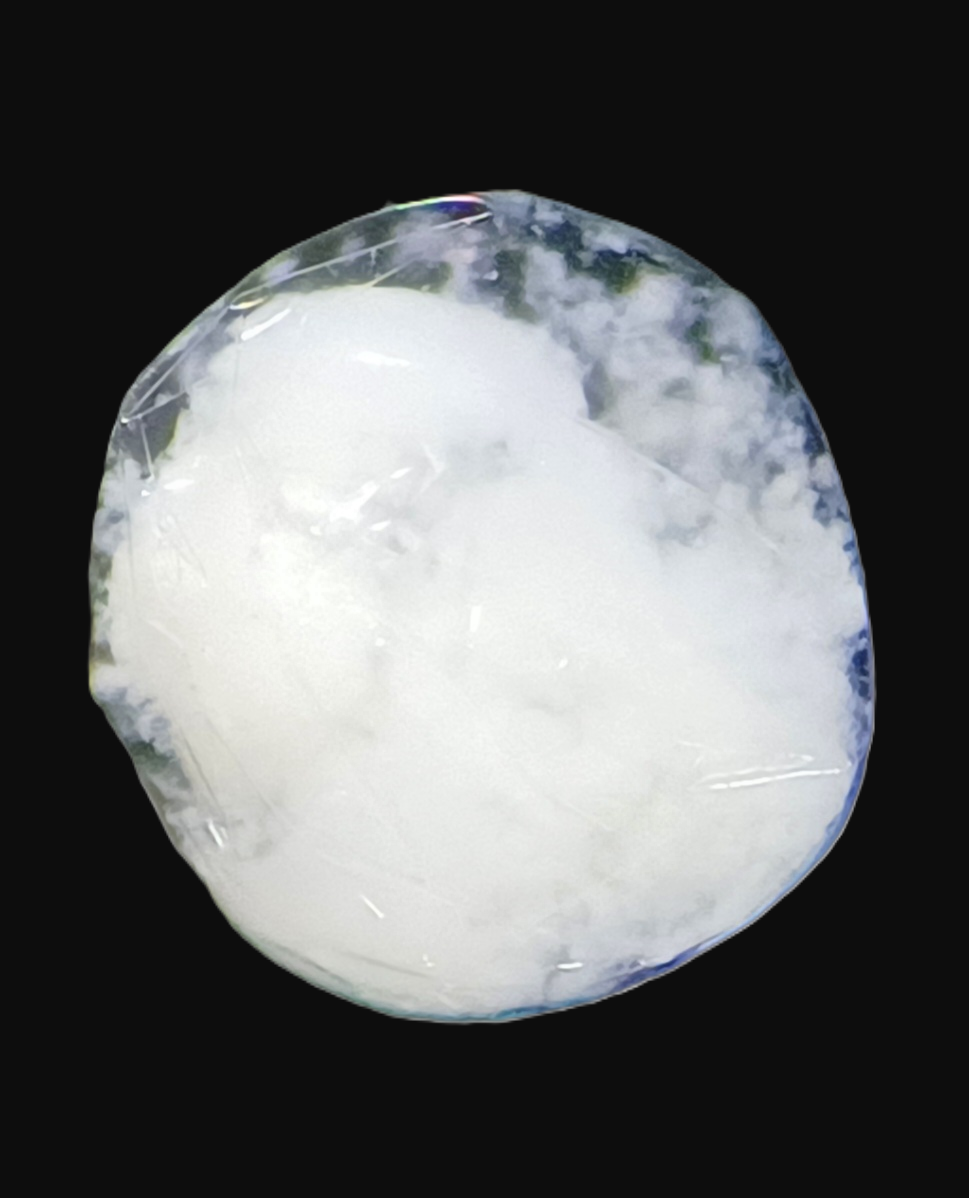 Specimen image