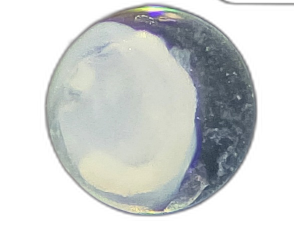 Specimen image