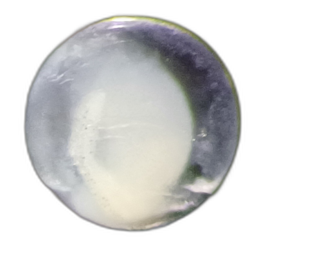 Specimen image