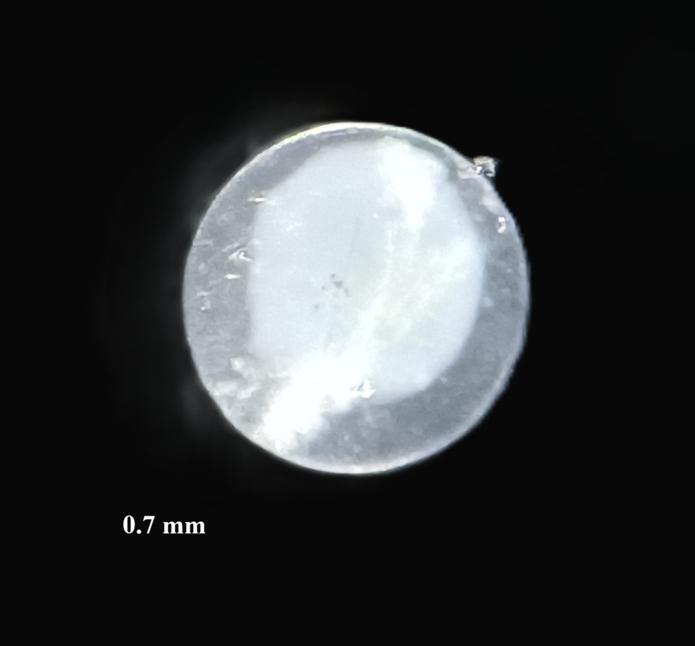 Specimen image