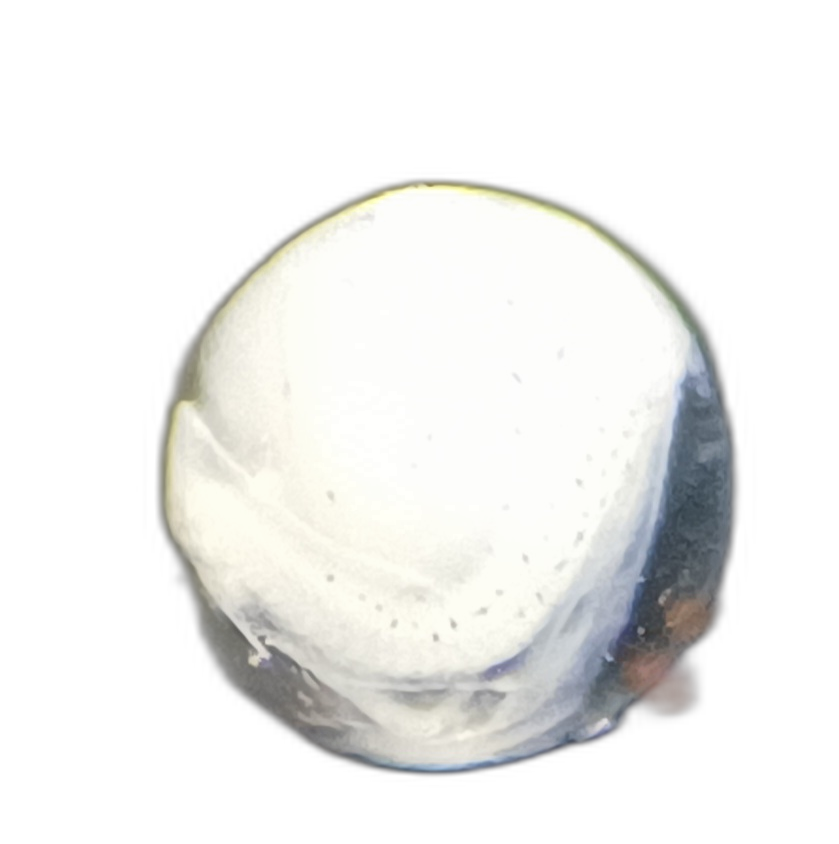 Specimen image