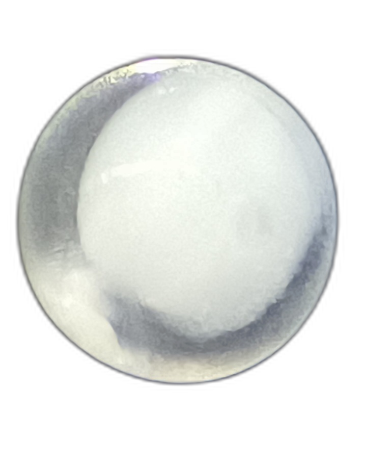 Specimen image