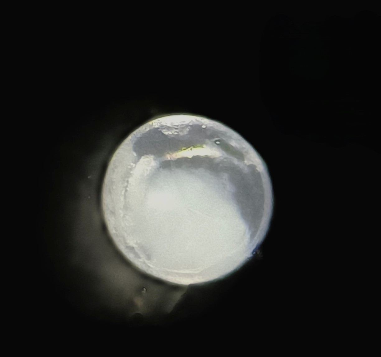 Specimen image