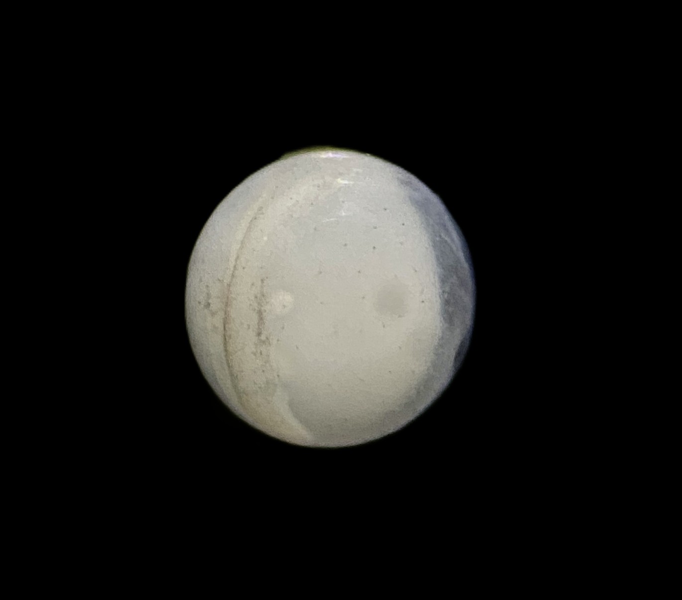 Specimen image