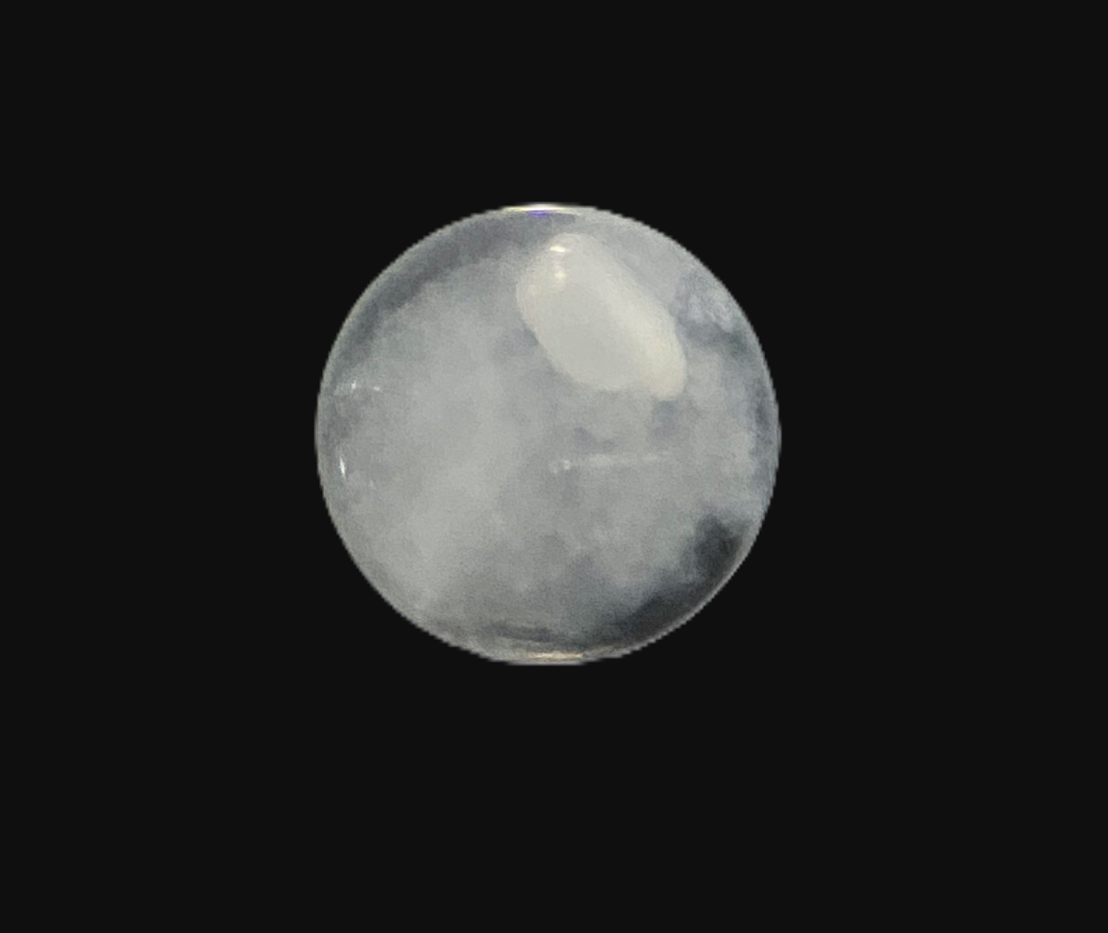 Specimen image