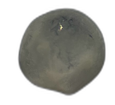 Specimen image