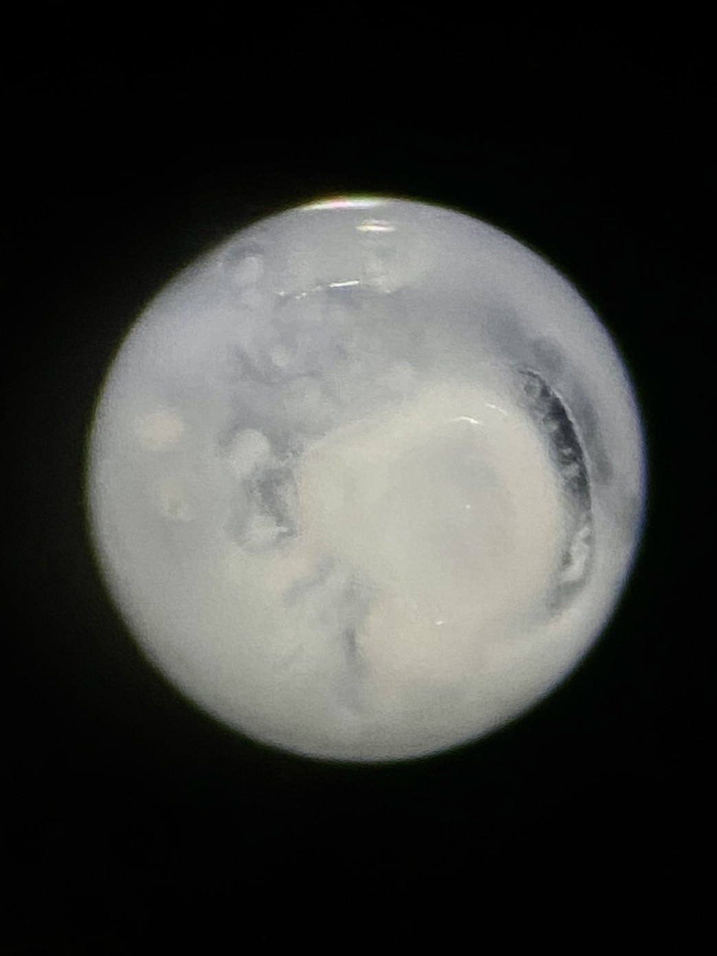 Specimen image