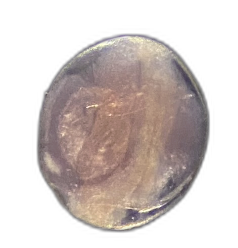 Specimen image