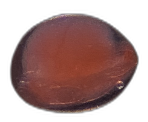 Specimen image