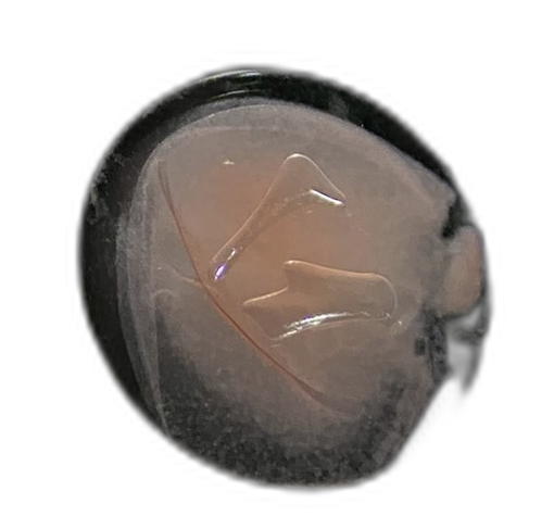 Specimen image